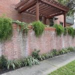 brick wall corrective staining