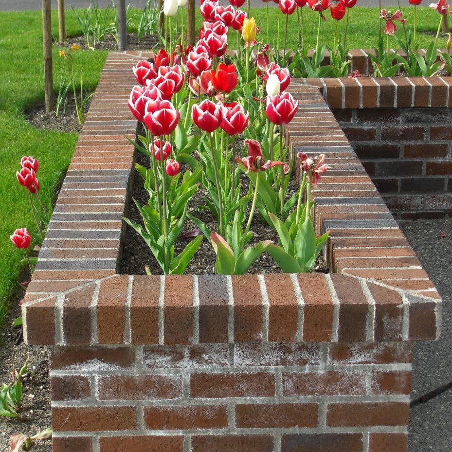 brick garden box with flowers