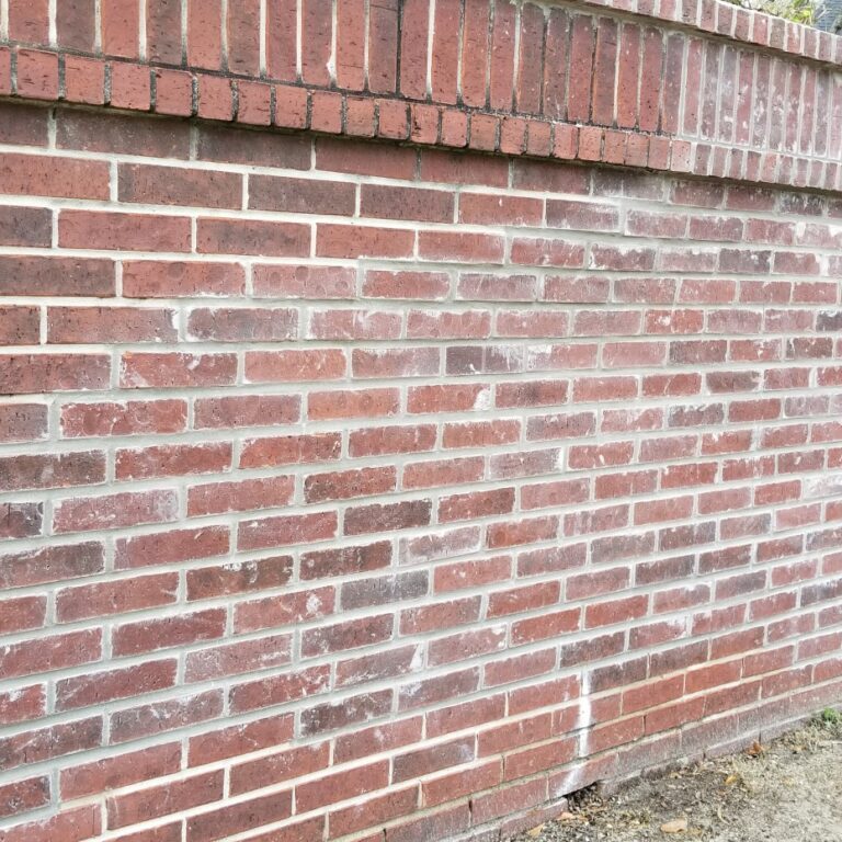 Brick Wall With Efflorescence