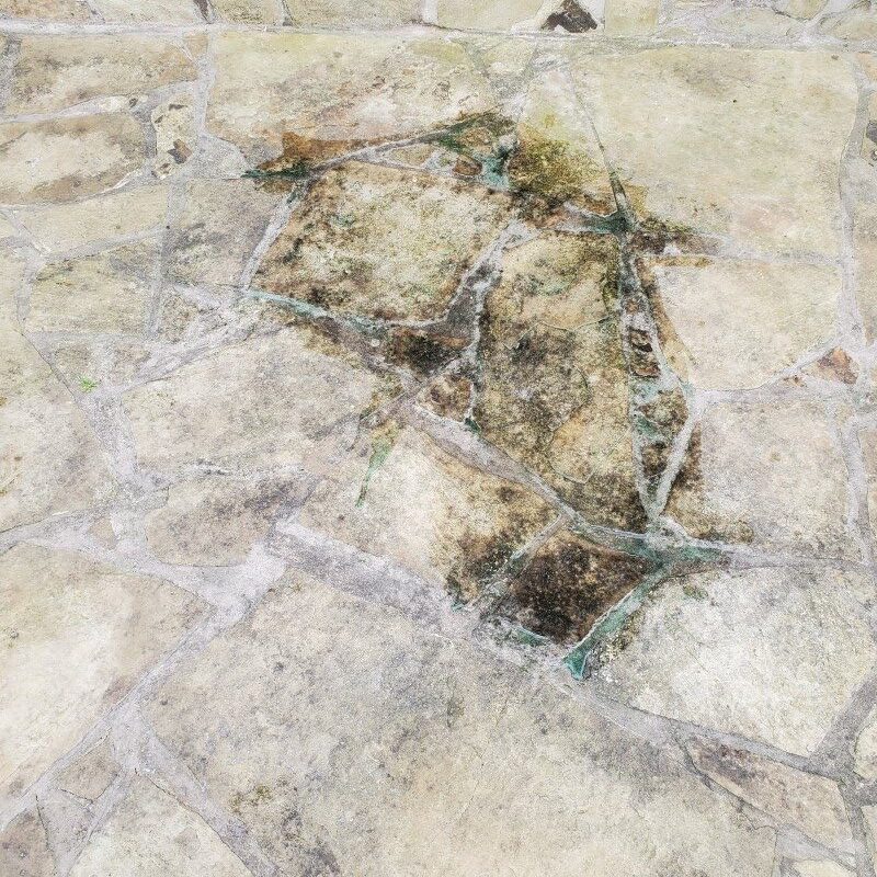 Stone Pavers Needing Pressure Washing